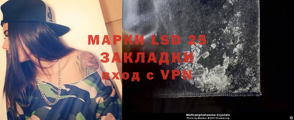 ПСИЛОЦИБИНОВЫЕ ГРИБЫ Аркадак