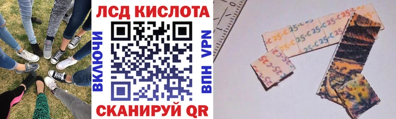 darknet как зайти Бологое Марки 25I-NBOMe 1,5мг