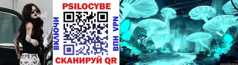 Псилоцибиновые грибы прущие грибы Бологое