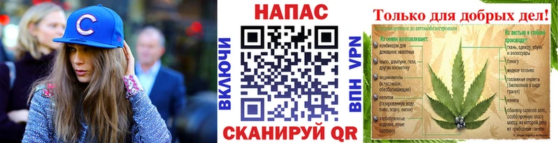 продажа наркотиков  Бологое  МАРИХУАНА сатива 